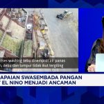 Misi Swasembada Pangan di Tengah Ancaman El Nino