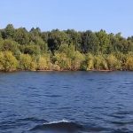 Misteri Pulau Hutan Hilang Terungkap