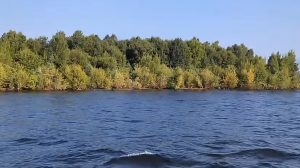 Misteri Pulau Hutan Hilang Terungkap