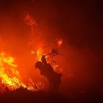 Ketegangan Isu Karhutla di ASEAN