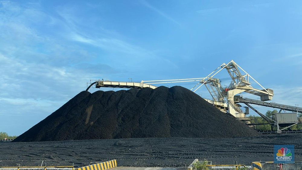 Harga Batubara Terus Meroket Tajam