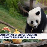 Perayaan Meriah Ulang Tahun Panda Ai Lian