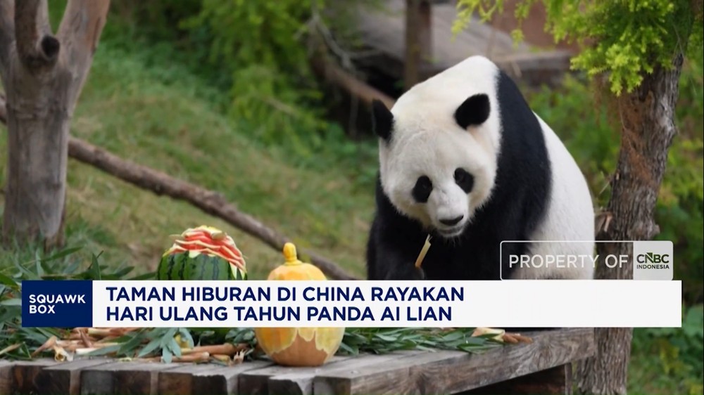 Perayaan Meriah Ulang Tahun Panda Ai Lian