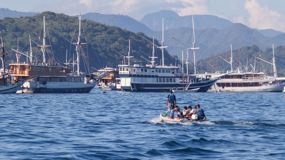 Waspada Gelombang 2,5 Meter di Komodo Bahaya Mengintai